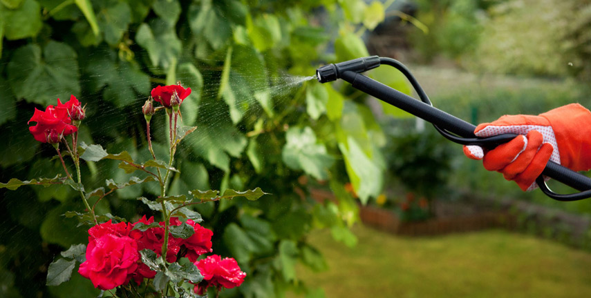 Garden Maintenance Apollo Bay, Gardening Marengo, Lawn Mowing Lavers Hill, Lawn Maintenance Wye River